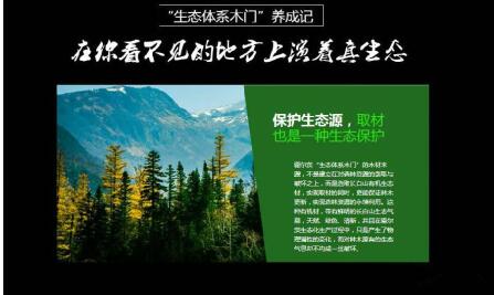 与霍尔茨结缘的青春电影 与霍尔茨结缘的青春电影