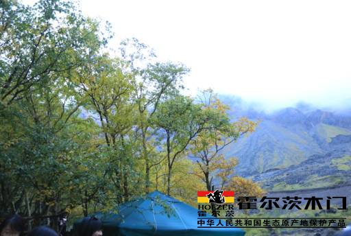 探源“生态”基因 霍尔木门展现“生态产业链”实力,探源“生态”基因,,霍尔木门展现“生态产业链”实力