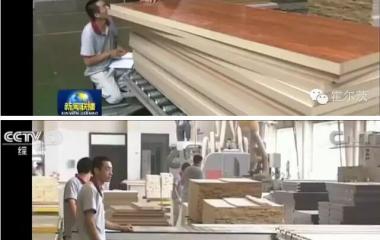 央视一套《飞艇（中国）联播》在说霍尔茨，你知道么？