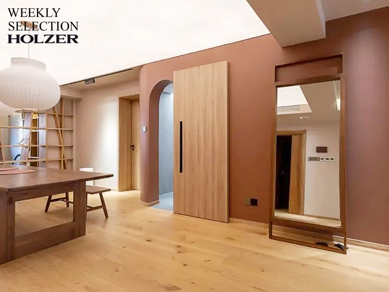 霍尔茨太空门案例